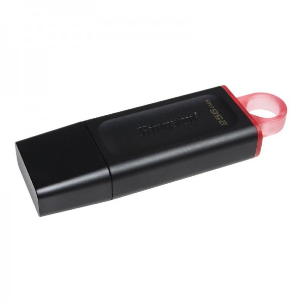 Kingston datatraveler dtx 256gb usb 3.2 gen1 negro
